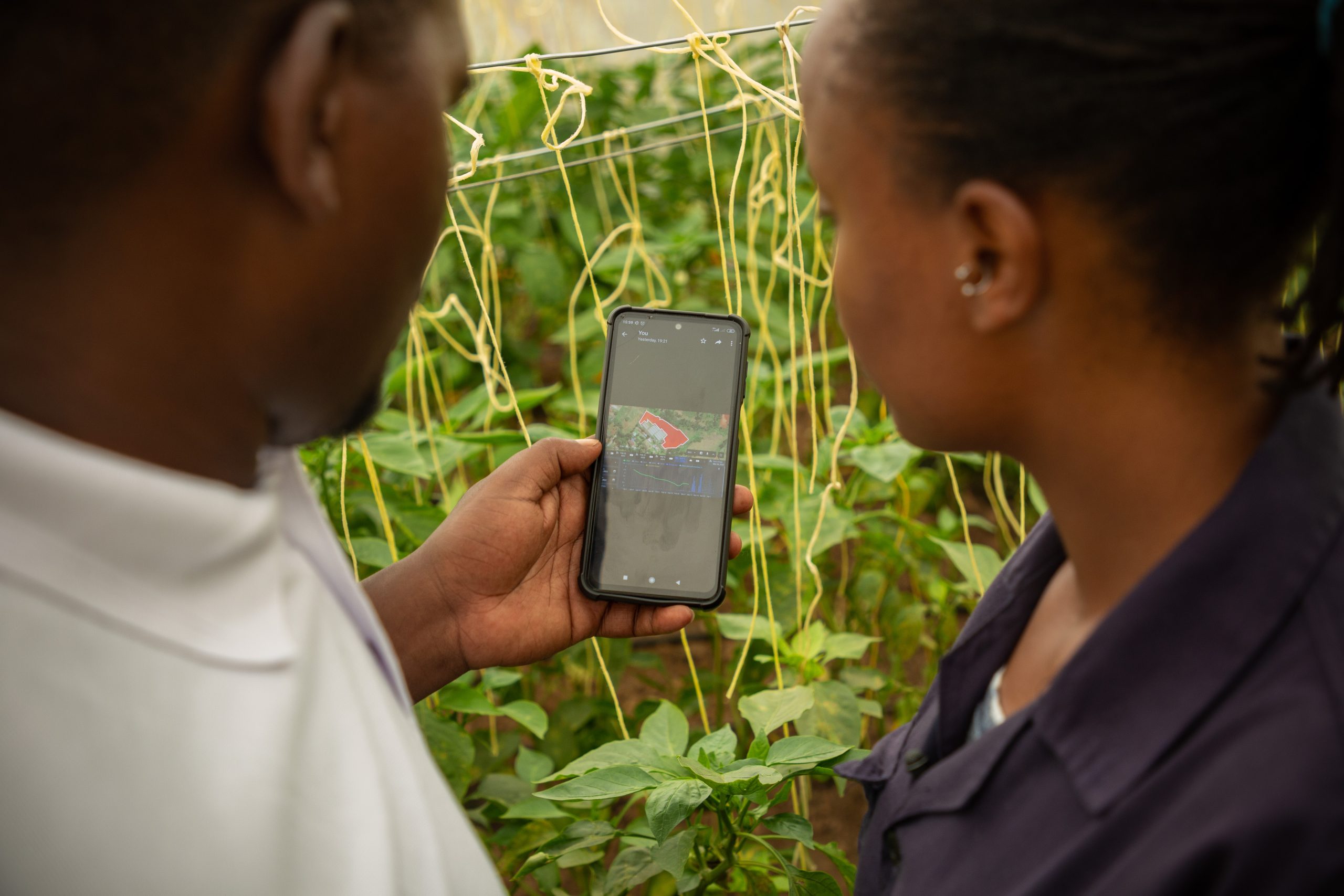 Precision Farming