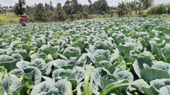 WhatsApp Image 2023-02-12 at 15.30.45